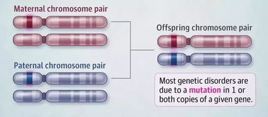美國頂尖兒科醫(yī)生建議 兒童基因檢測的適用情況與考量